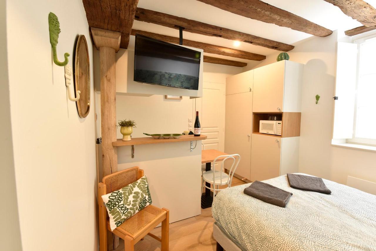 La Lirosane, 3 Studios, 3,7km Du Zoo, Centre-ville Saint-Aignan (Loir-et-Cher)
